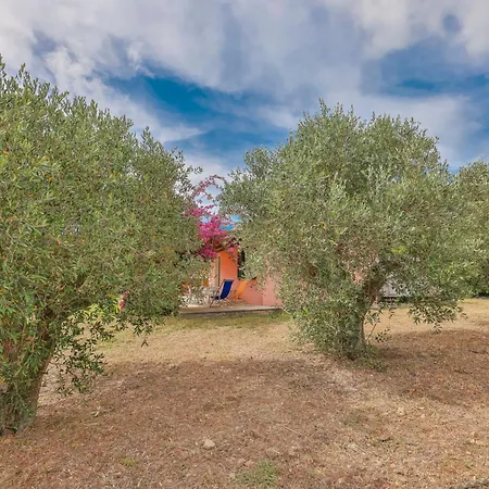 Villino Lampone - Goelba Lacona