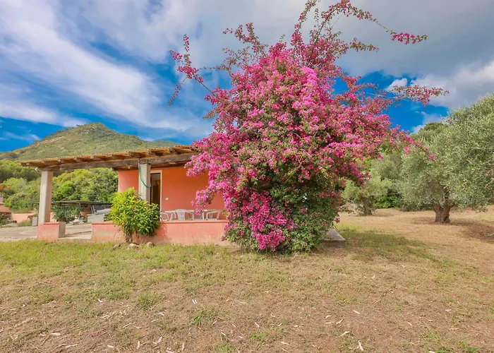 Villino Lampone - Goelba Villa *