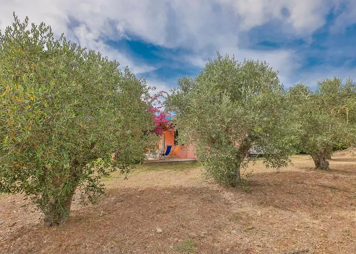 Villino Lampone - Goelba Lacona